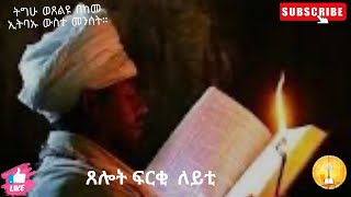 #ጸሎት  ፍርቂ ለይቲ#xelot frqi leyti