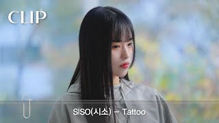 시소(Siso) - 타투(Tattoo)