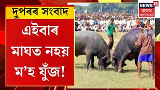 MIDDAY NEWS | দুপৰৰ সংবাদ : এইবাৰ মাঘৰ বিহুত অনুষ্ঠিত নহ’ব ম’হ যুঁজ | Buffalo Fight