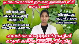 പ്രമേഹം മരുന്നില്ലാതെ നിയന്ത്രിക്കാം| Diabetes Control Tips Malayalam|Koovalam plants benefits|