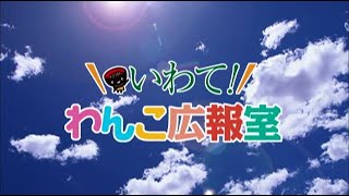 いわて！わんこ広報室【第47回】