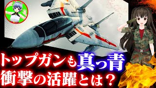 戦闘機F-14 Tomcatトムキャット解説「イラン・イラク戦争での恐るべき活躍」映画『トップガン』も真っ青な活躍とは？【凛護隊】