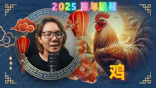 2025年生肖鸡运势！Lynn 帶您掌握事业、财富、感情策略