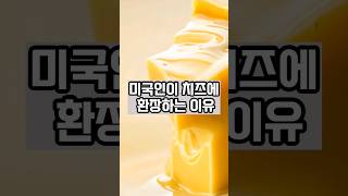 미국인이 치즈에 환장하는 이유