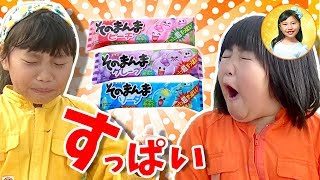 ねねちゃんのリアクションに爆笑？3個に1個超すっぱいガムゲーム　小学二年生コンビのオリジナルソング　お出かけ　ピクニック　おもしろマシュマロ　海岸公園冒険広場