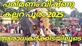 പരിമണം വിഷ്ണു കല്ലറ പൂരം 2025 | parimanam vishnu | kallara pooram 2025 | #pets #elephant #animal