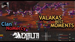 🔴 L2Exalta // Pvp Massive Forge of The Gods - VALAKAS // Clan NoMercy #lineage2 #l2 #l2interlude