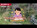 【蒲生田岬灯台】四国最東端の灯台！海抜50mからの絶景！瀬戸内海＆太平洋＆島々を見渡せる感動【徳島県阿南市椿町】「徳島観光：旅スポット」