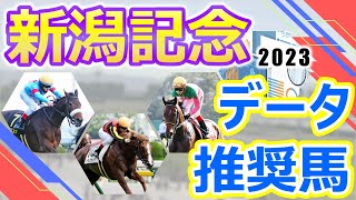 【新潟記念2023】データ推奨馬　良血馬サリエラ重賞初制覇なるか⁉︎ノッキングポイント秋の大舞台に向けて弾みを付けたい一戦‼︎秋の重賞戦線に向けて中距離路線の実力馬が多数集結‼︎