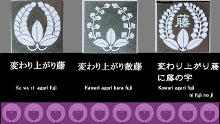 【家紋】藤の家紋の由来💜 Origin of Samurai Fuji crest.