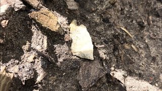 SWEET Ancient POINT! ~ 683. Indian Artifact Finds! ~ AUG 2018