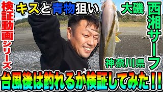 【西湘サーフ】台風後の大磯は釣りにくいって聞いたので検証してみた！