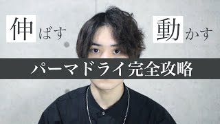 【印象の違い】メンズパーマの乾かし方2パターンを美容師が徹底解説【くせ毛もOK】