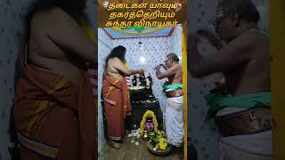 என்ன ஒரு அற்புதமான தரிசனம் #sithanjiamma #guruji #sivakaali #vinayagar #divine #god #video #sohrts