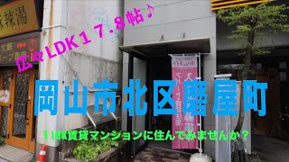 岡山市北区磨屋町１LDK１７.８帖！JR岡山駅まで徒歩圏内の物件が募集中です♫