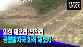 의성 제오리, 만천리 공룡발자국 화석 재조사 (2021.09.28/뉴스데스크/포항MBC)