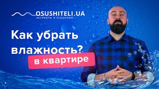 Как убрать влажность в квартире