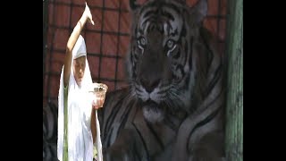 LEGENDA MANUSIA HARIMAU DI KABUPATEN SELUMA - BENGKULU LEGENDA MANUSIA HARIMAU DI KABUPATEN SELUMA - BENGKULU