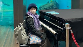 魚の隣でピアノ🎹弾いてみました【カノン〜愛は勝つ〜時代】