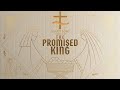 Luke 2:36–40 - Full Message -The Promised King - Anna