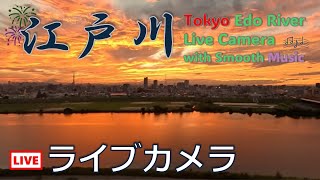 2024.10.5_江戸川ライブカメラ（東京方面）BGMあり／Tokyo View from Edogawa, Live Camera Stream with Music