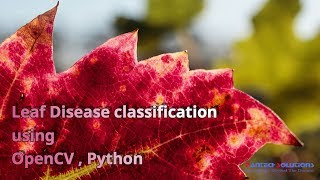 Leaf Disease Classification using OpenCV-Python