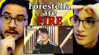 Forestella Shape Of You reaction