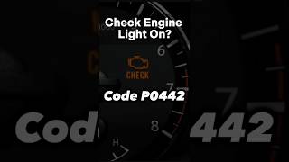 Check Engine Light Code P0442 Another Solution Shorts