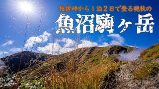 枝折峠から登るテント泊の越後駒ヶ岳