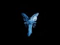 The Temper Trap - Sweet Disposition (ARTBAT Remix) (Official Video)