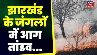 Jharkhand Fire News: झारखंड के जंगलों में आग तांडव Top News | Hindi News|  Fire News | Breaking