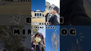 Busan Vlog Vol.1 釜山留學Vlog