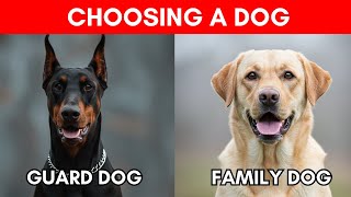 How to Choose the Perfect Dog Breed Just for You (Full Guide)