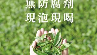 適合天天飲用的新兒茶素綠茶–方版