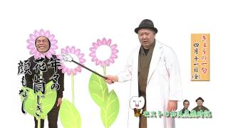 【モストのお天気歳時記】4月11日「年々の花に同じき顔もなし」