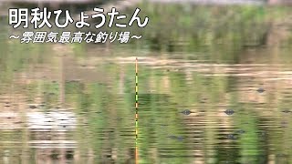 【明秋ひょうたん】雰囲気最高な野釣り場です。埼玉県。へらぶな釣り。2020.9.5