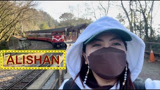 Love, Alishan Part 2 | Chiayi, Taiwan 2023 | #travel #taiwan #mountain #forest #DIY