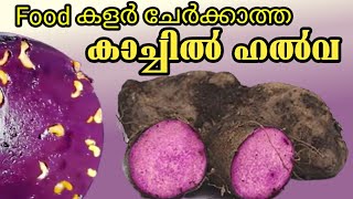 kachil halwa | കാച്ചിൽ ഹൽവ | രുചികരമായ വയലറ്റ് ഹൽവ | purple yam halwa | The Malayalam Vlogs