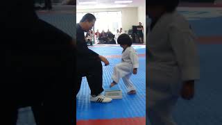3 Year Old Tries to Break Board in Taekwondo