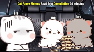 Cat Funny Memes Road Trip Compilation 30 minutes