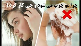 چرا مو چرب می شود و با موهای چرب باید چی کار کرد!