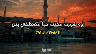 wo sharay muhabat jaha Mustafa Hai ||new naat 2024||Slow Reverb||Alif Naat