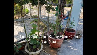 Cách Làm Chậu Nho Kiểng Đơn Giản Tại Nhà. Hotline: 0979125071 (Zalo)