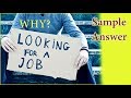 Why Are You Looking For a Job - Sample Answer