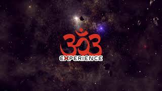 Ratagnan - 303 Experience Promo [Goa Trance Mix] ᴴᴰ