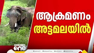 വയനാട് അട്ടമലയിൽ ആദിവാസി യുവാവിനെ കാട്ടാന ചവിട്ടിക്കൊന്നു, സംഭവത്തിൽ നാട്ടുകാർ പ്രതിഷേധിക്കുന്നു