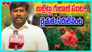 బుల్లెట్టు గులాబీ పంట..  రైతుకు సిరులేనంట | Huge Profits With Rose Farming | Siddipet | hmtv Agri