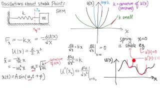 30 Oscillations about equilibrium