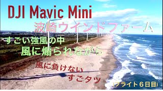 茨城県 波崎町 矢田部海岸 波崎ウインドファーム 風力発電 DJI Mavic MiniドローンJr.1号機 （フライト6日目）