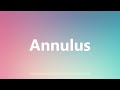 Annulus - Medical Definition